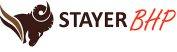 Logo  - strona główna